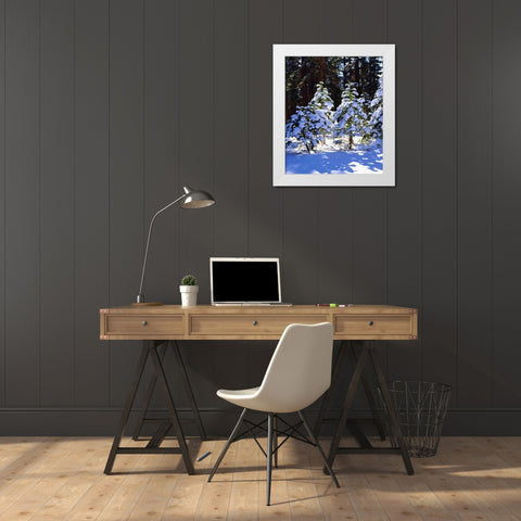California, High Sierra, Snow-covered Red Fir White Modern Wood Framed Art Print by Talbot Frank, Christopher