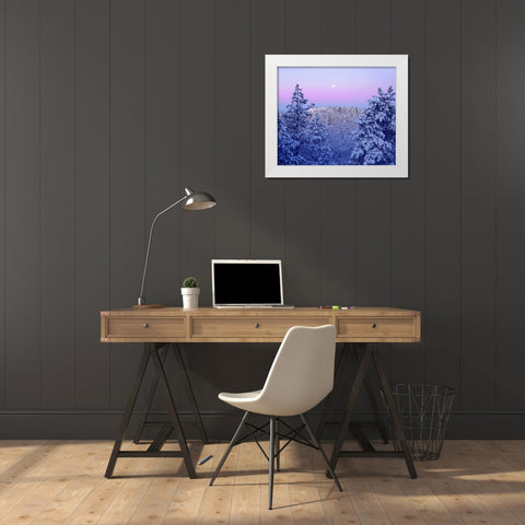 CA, snowy trees in the Laguna Mts at Sunrise White Modern Wood Framed Art Print by Talbot Frank, Christopher