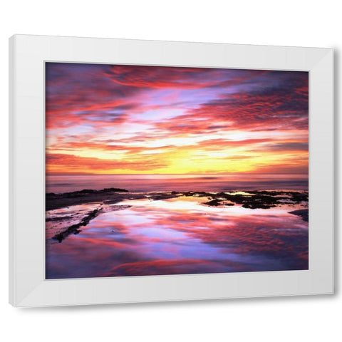 CA, Tide pools at sunset at Sunset Cliffs White Modern Wood Framed Art Print by Talbot Frank, Christopher