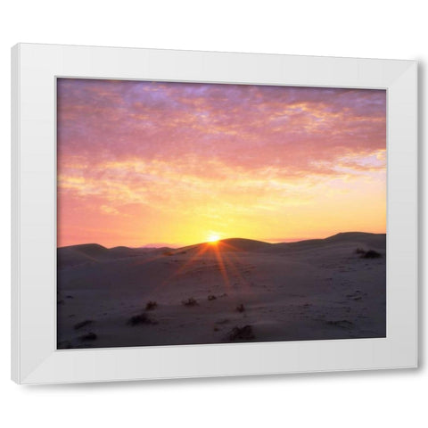 USA, California, Glamis Sand Dunes at Sunrise White Modern Wood Framed Art Print by Talbot Frank, Christopher