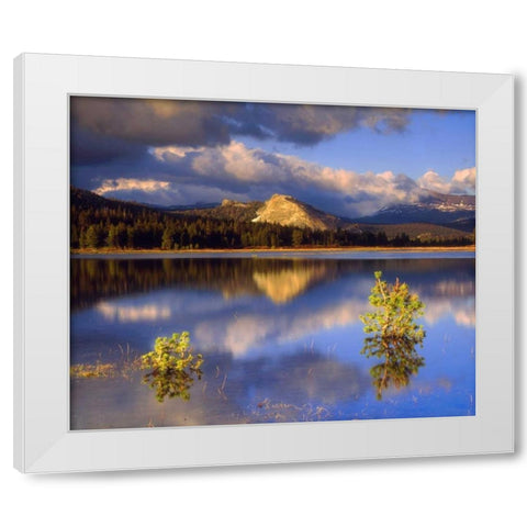 CA, Yosemite Lembert Dome and Tuolumne River White Modern Wood Framed Art Print by Talbot Frank, Christopher