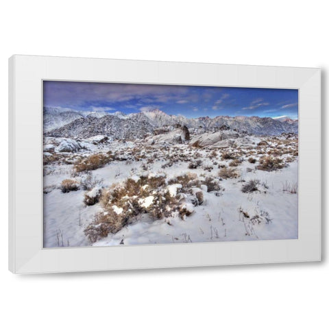 CA, Sierra Mts, Alabama Hills snowy landscape White Modern Wood Framed Art Print by Welling, Dave