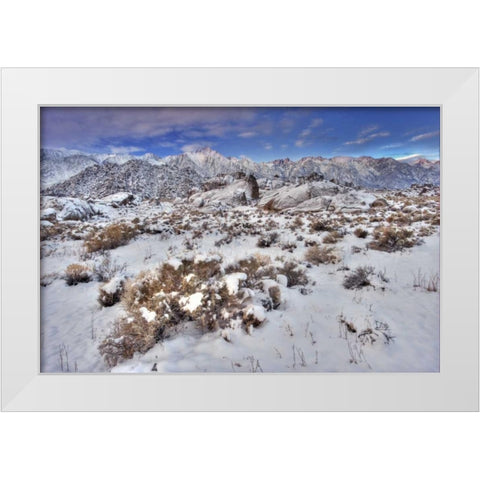 CA, Sierra Mts, Alabama Hills snowy landscape White Modern Wood Framed Art Print by Welling, Dave