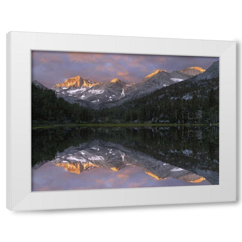 USA, California Marsh Lake at sunrise White Modern Wood Framed Art Print by Flaherty, Dennis