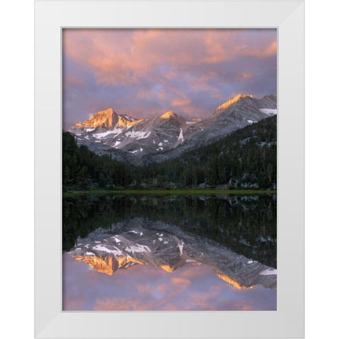 USA, California Marsh Lake at sunrise White Modern Wood Framed Art Print by Flaherty, Dennis