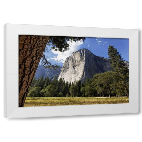 California, Yosemite View of El Capitan landmark White Modern Wood Framed Art Print by Flaherty, Dennis
