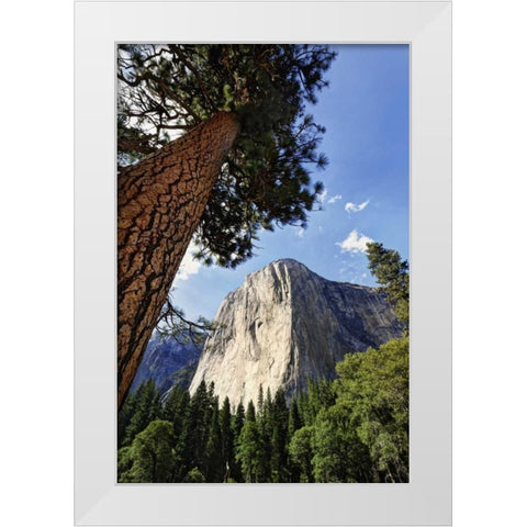 California, Yosemite View of El Capitan landmark White Modern Wood Framed Art Print by Flaherty, Dennis