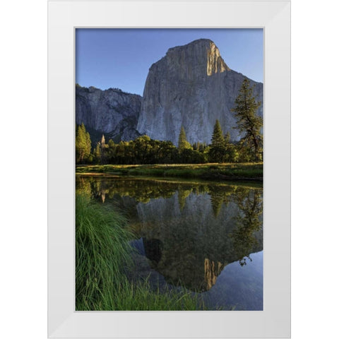 California, Yosemite El Capitan and Merced River White Modern Wood Framed Art Print by Flaherty, Dennis