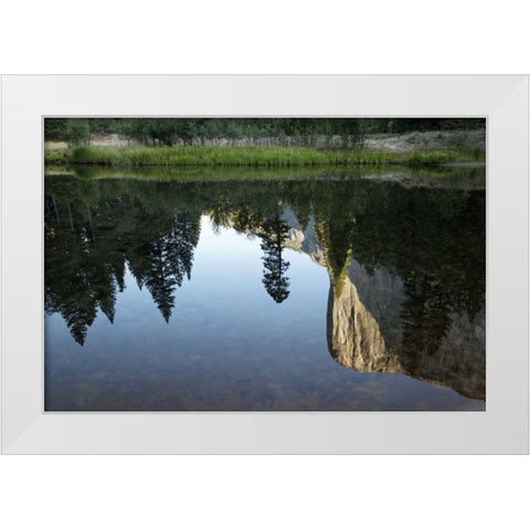 California, Yosemite El Capitan and Merced River White Modern Wood Framed Art Print by Flaherty, Dennis