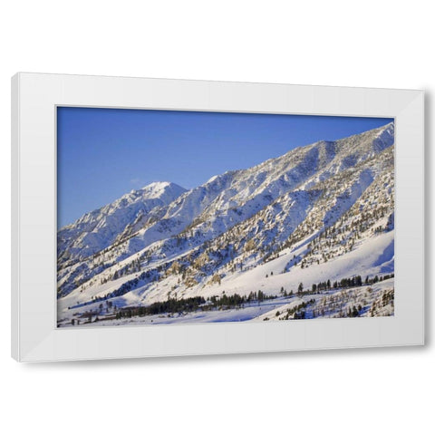 CA, Wheeler Crest in the Sierra Nevada White Modern Wood Framed Art Print by Flaherty, Dennis