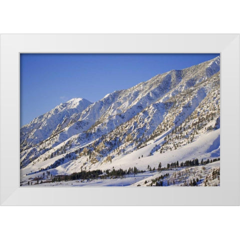 CA, Wheeler Crest in the Sierra Nevada White Modern Wood Framed Art Print by Flaherty, Dennis