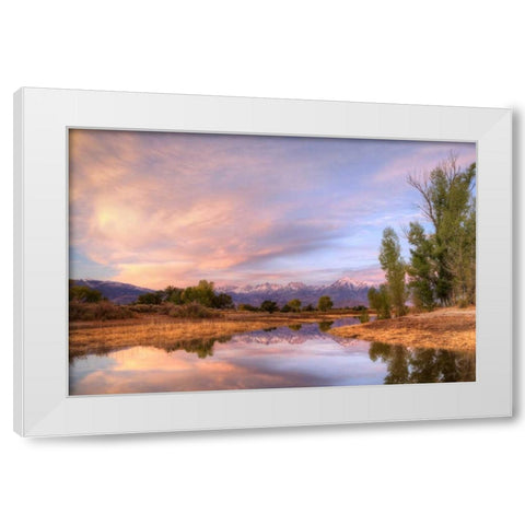 California, Bishop Sierra Mts from Farmers Pond White Modern Wood Framed Art Print by Flaherty, Dennis