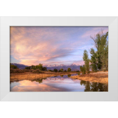 California, Bishop Sierra Mts from Farmers Pond White Modern Wood Framed Art Print by Flaherty, Dennis