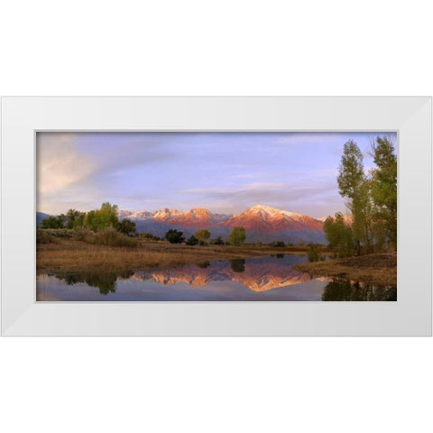 California, Bishop Sierra Mts from Farmers Pond White Modern Wood Framed Art Print by Flaherty, Dennis