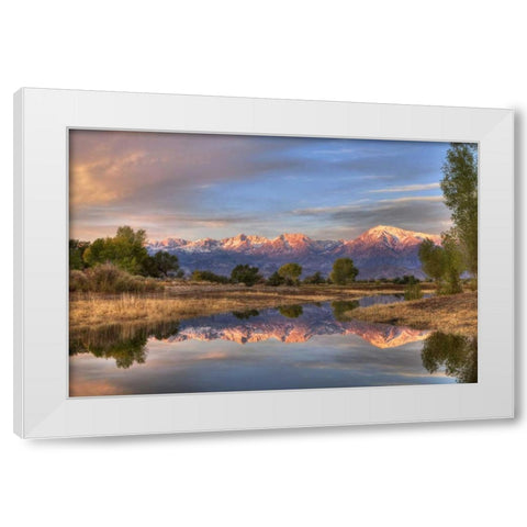 California, Bishop Sierra Mts from Farmers Pond White Modern Wood Framed Art Print by Flaherty, Dennis