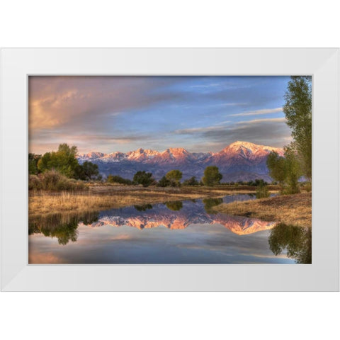 California, Bishop Sierra Mts from Farmers Pond White Modern Wood Framed Art Print by Flaherty, Dennis