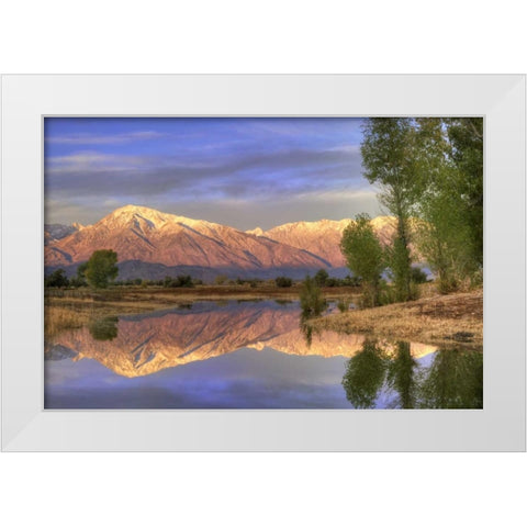 CA, Bishop Reflection of Mt Tom in Farmers Pond White Modern Wood Framed Art Print by Flaherty, Dennis