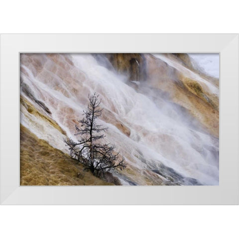 Wyoming Mammoth Hot Springs waterfall White Modern Wood Framed Art Print by Bush, Marie