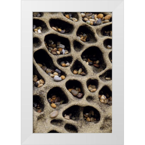 California Pebbles collected in rock cavities White Modern Wood Framed Art Print by Bush, Marie