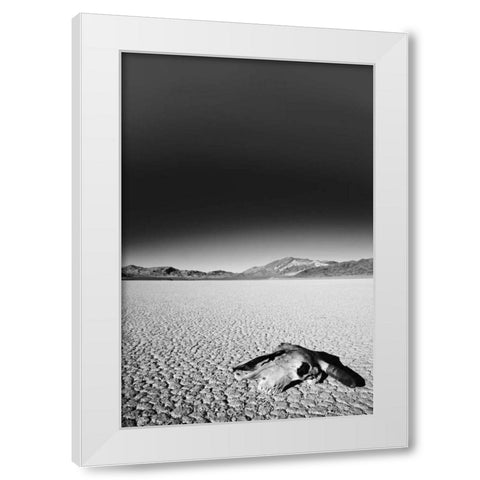 California, Death Valley NP Weathered cow skull White Modern Wood Framed Art Print by Flaherty, Dennis