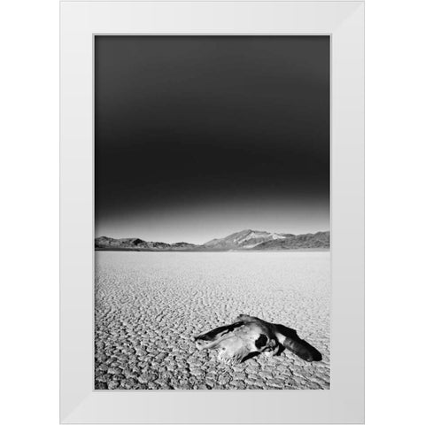 California, Death Valley NP Weathered cow skull White Modern Wood Framed Art Print by Flaherty, Dennis