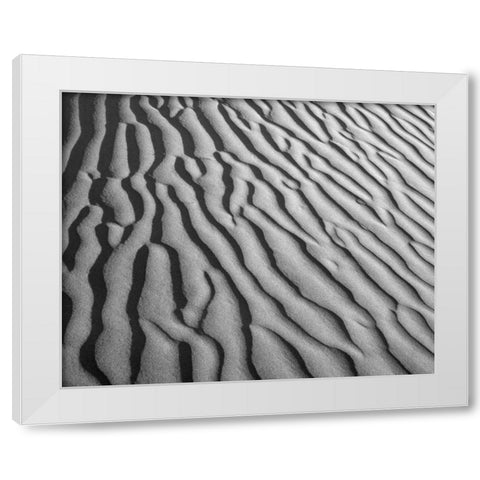 California, Death Valley NP Sand dune patterns White Modern Wood Framed Art Print by Flaherty, Dennis