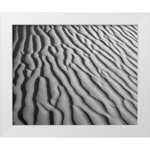 California, Death Valley NP Sand dune patterns White Modern Wood Framed Art Print by Flaherty, Dennis