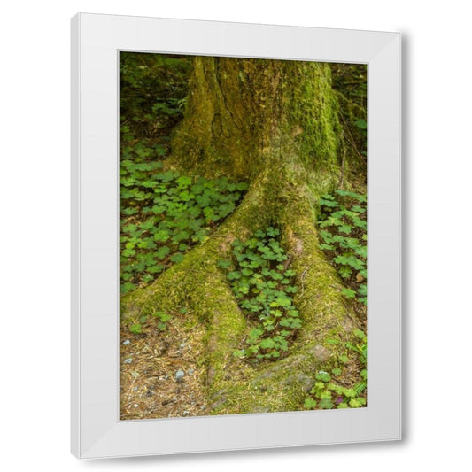 Perspective Image