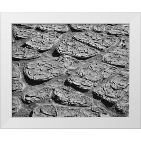 CA, Death Valley Cracked mud of the playa floor White Modern Wood Framed Art Print by Flaherty, Dennis