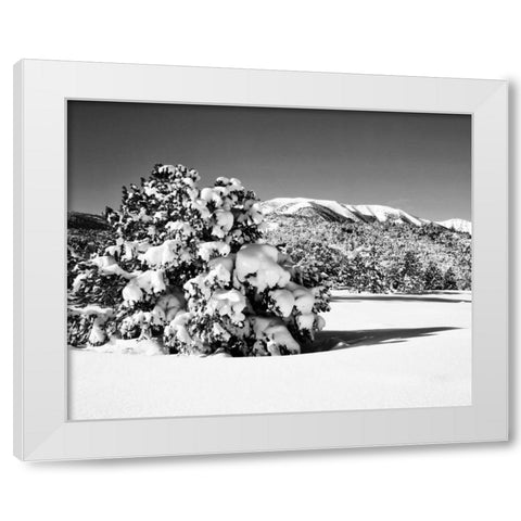 CA, Sierra Nevada Morning on winter landscape White Modern Wood Framed Art Print by Flaherty, Dennis