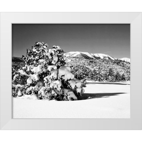 CA, Sierra Nevada Morning on winter landscape White Modern Wood Framed Art Print by Flaherty, Dennis