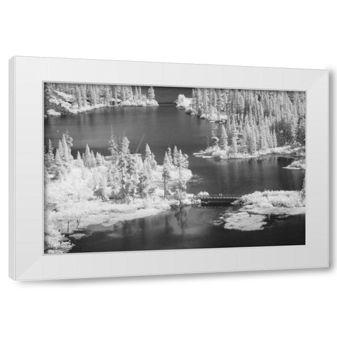 CA, Mammoth Lakes Basin Aerial of Twin Lakes White Modern Wood Framed Art Print by Flaherty, Dennis