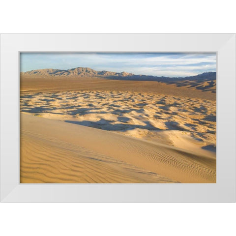 CA, Mohave National Preserve Kelso Dunes White Modern Wood Framed Art Print by Paulson, Don