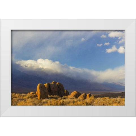 CA, Alabama Hills Mountain and desert landscape White Modern Wood Framed Art Print by Paulson, Don