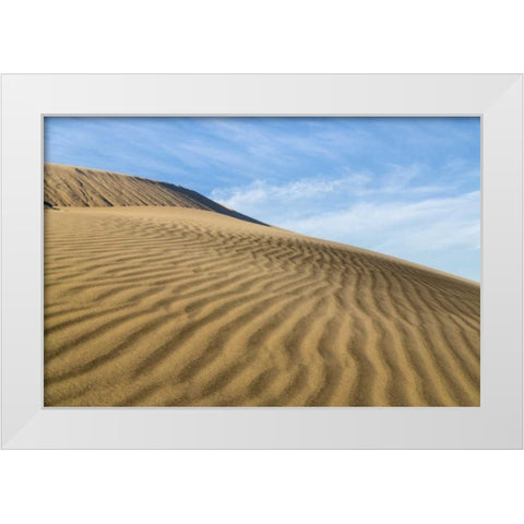 CA, Mohave National Preserve Rippled sand dunes White Modern Wood Framed Art Print by Paulson, Don