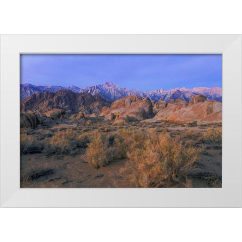 CA, Alabama Hills Lone Pine Peak and Mt Whitney White Modern Wood Framed Art Print by Paulson, Don