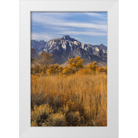 California Lone Pine Peak from Alabama Hills White Modern Wood Framed Art Print by Paulson, Don
