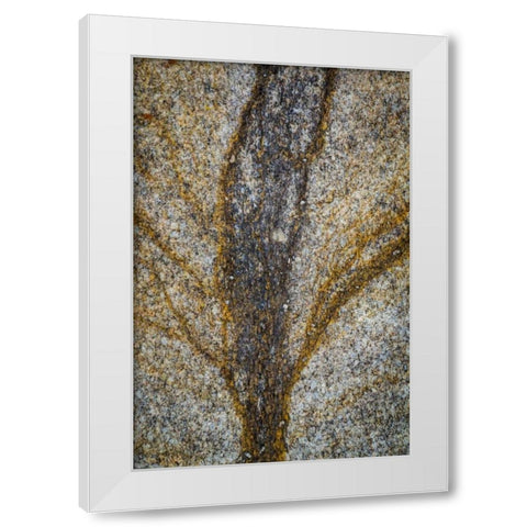 California, Alabama Hills Close-up of rock stain White Modern Wood Framed Art Print by Paulson, Don