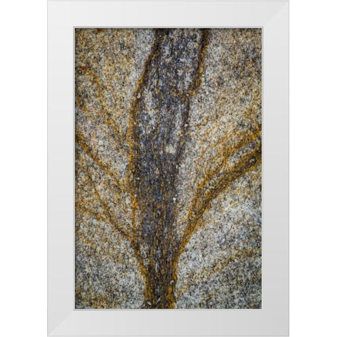 California, Alabama Hills Close-up of rock stain White Modern Wood Framed Art Print by Paulson, Don