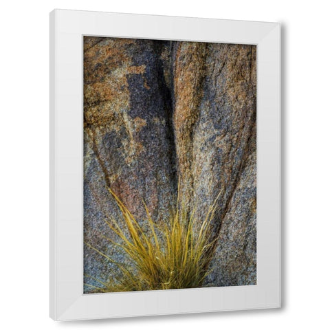 California, Alabama Hills Rock face and grass White Modern Wood Framed Art Print by Paulson, Don