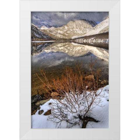 California, Sierra Nevada Spring at North Lake White Modern Wood Framed Art Print by Flaherty, Dennis