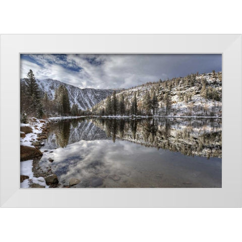 California, Sierra Nevada Spring at North Lake White Modern Wood Framed Art Print by Flaherty, Dennis