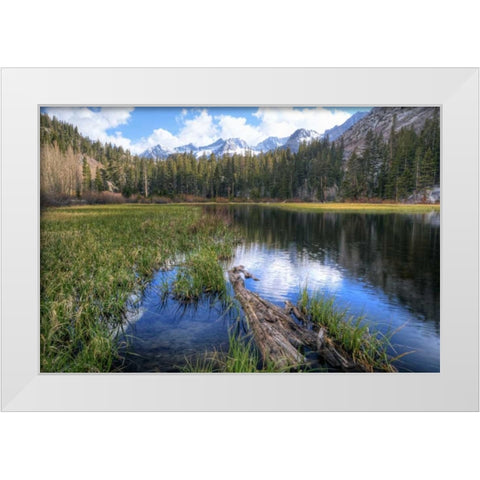 California, Sierra Nevada Weir Pond landscape White Modern Wood Framed Art Print by Flaherty, Dennis