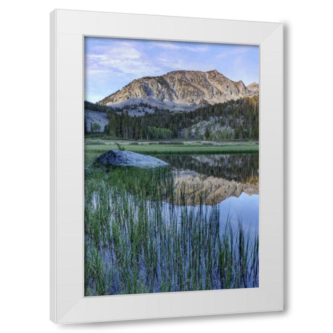 California, Sierra Nevada Grass Lake reflection White Modern Wood Framed Art Print by Flaherty, Dennis