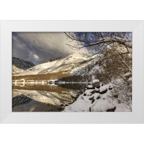 California, Sierra Nevada Spring at North Lake White Modern Wood Framed Art Print by Flaherty, Dennis