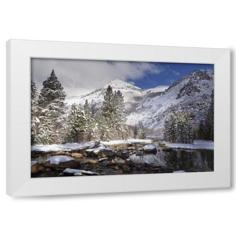 California, Sierra Nevada Spring at North Lake White Modern Wood Framed Art Print by Flaherty, Dennis