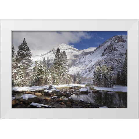 California, Sierra Nevada Spring at North Lake White Modern Wood Framed Art Print by Flaherty, Dennis