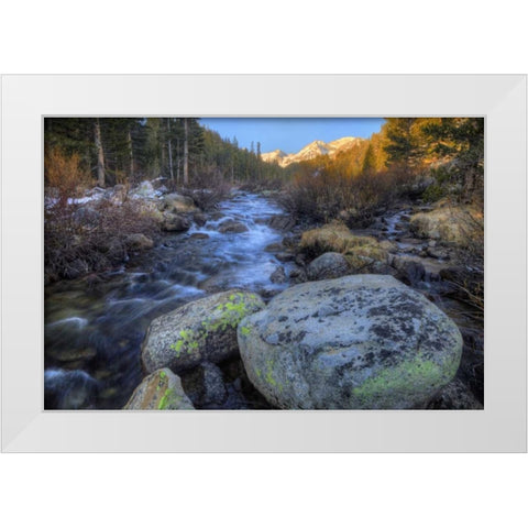 California, Sierra Nevada Rock Creek landscape White Modern Wood Framed Art Print by Flaherty, Dennis