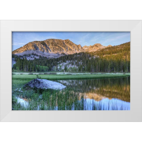 California, Sierra Nevada Grass Lake reflection White Modern Wood Framed Art Print by Flaherty, Dennis