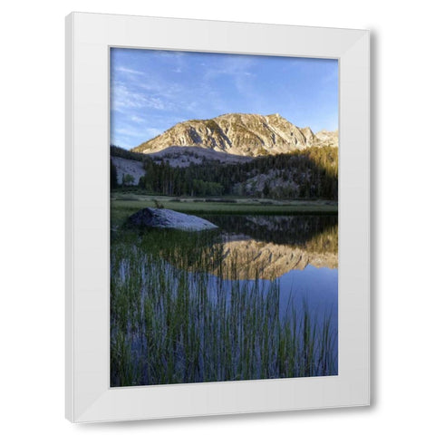 California, Sierra Nevada Grass Lake reflection White Modern Wood Framed Art Print by Flaherty, Dennis